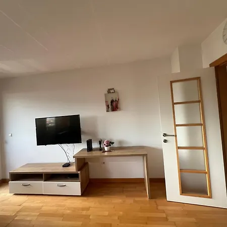 Apartment Vip